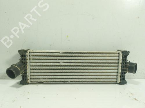 Intercooler FORD TRANSIT V363 Platform/Chassis (FED, FFD)  | BP24738485M30 