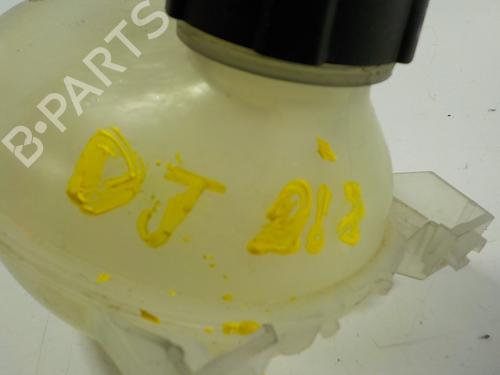 Expansion tank DACIA SANDERO II  | BP11189911C120