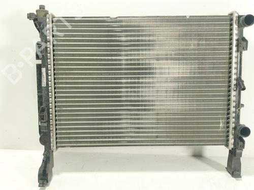 Used Water radiator Water radiator RENAULT KANGOO Express (FW0/1_) Z.E. (FW0Z, FW1Z) (60 hp) 27603848 27603848