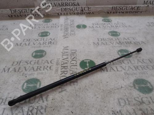 Used Tailgate lift support FORD FIESTA V (JH_, JD_) [2001-2014]  14273378
