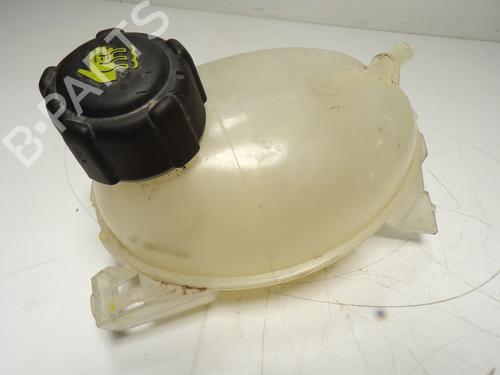 Used Expansion tank DACIA SANDERO II [2012-2025]  12119347