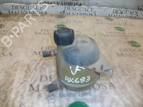Used Expansion tank RENAULT CLIO II (BB_, CB_) 1.5 dCi (B/CB07) (65 hp) 3747142