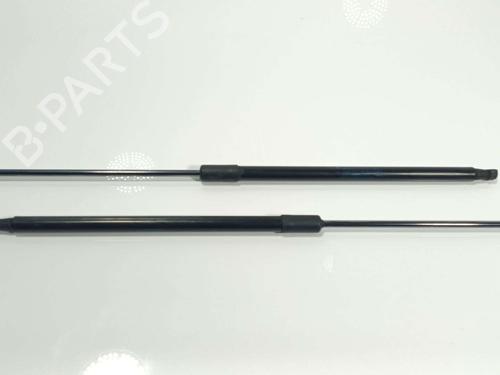 hood-lift-support-dacia-duster-hm_-2017-39598591 main image