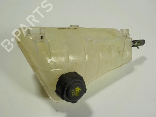 Expansion tank MERCEDES-BENZ CITAN Box Body/MPV (W415)  | BP11192997C120 