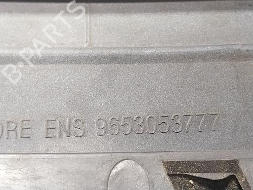 Grille CITROËN C3 I (FC_, FN_)  | BP29544467C40 