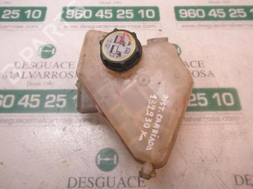 Expansion tank FORD FIESTA VI (CB1, CCN) 1.4 TDCi | BP3875346C120 