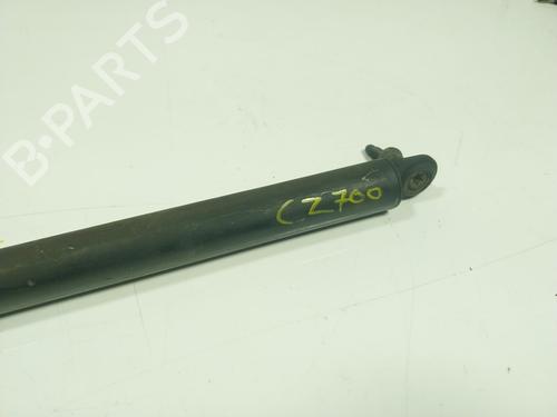 Tailgate lift support CHRYSLER VOYAGER / GRAND VOYAGER III (GS_, NS_) 2.5 TD | BP17210052C138 