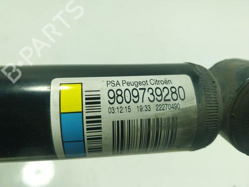 Left rear shock absorber CITROËN C4 CACTUS 1.6 BlueHDi 100 | BP16821916M18 