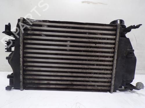 Intercooler RENAULT TALISMAN (LP_)  | BP11190308M30 