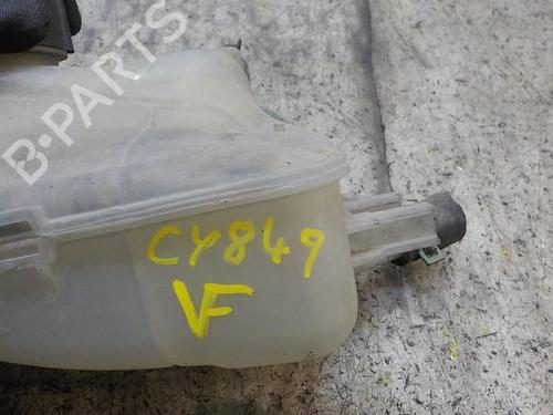Expansion tank RENAULT MEGANE III Hatchback (BZ0/1_, B3_)  | BP3998066C120 