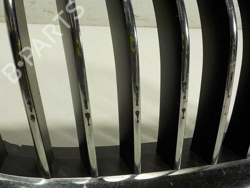 Grille BMW 5 Touring (F11) 520 d xDrive | BP15096822C40 
