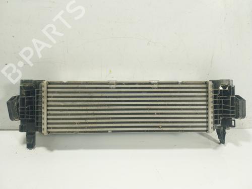 Intercooler BMW X3 (G01, F97, G08) xDrive 20 d Mild-Hybrid | BP22901566M30 