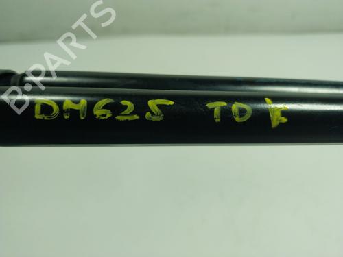 Tailgate lift support RENAULT KADJAR (HA_, HL_) 1.3 TCe 140 (HLNB, HLN1) | BP17030219C138 