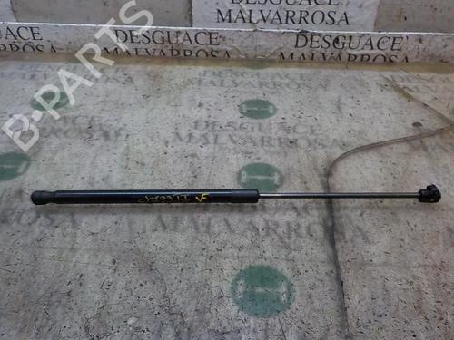 Used Tailgate lift support FORD FIESTA VI (CB1, CCN) 1.0 EcoBoost (100 hp) 14279068