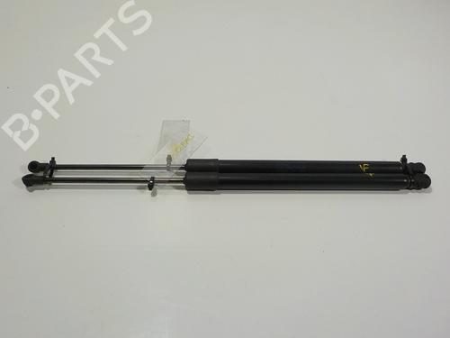 Used Tailgate lift support VW GOLF VII (5G1, BQ1, BE1, BE2) 1.5 TSI (150 hp) 14288685