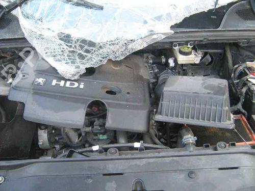  - Image 4