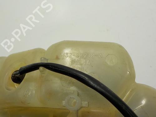 Expansion tank LAND ROVER RANGE ROVER EVOQUE (L538)  | BP11944255C120 