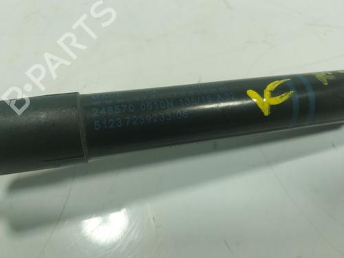 Hood lift support BMW 3 Touring (F31) 316 d | BP17384656C139 