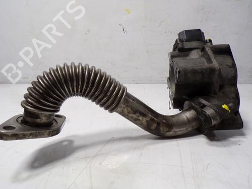 Egr RENAULT KOLEOS I (HY_)  | BP10003261M69