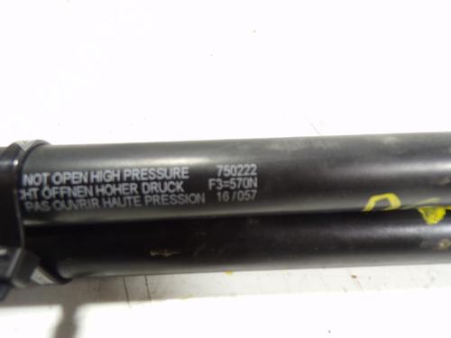 Tailgate lift support CITROËN C4 Picasso I MPV (UD_)  | BP14285617C138 