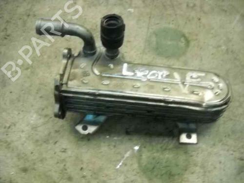 Used Egr SEAT LEON (1P1) 1.9 TDI (105 hp) 14264079