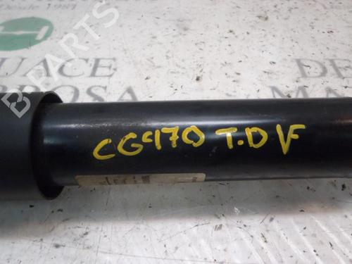 Right rear shock absorber DACIA LODGY (JS_) 1.5 dCi | BP3816846M19