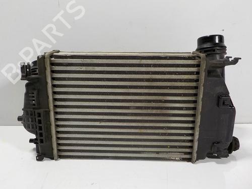 Intercooler NISSAN X-TRAIL III (T32_, T32R, T32RR)  | BP11189531M30