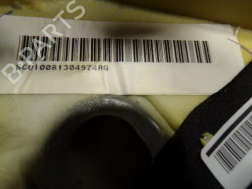 Elektronisk modul AUDI A6 C6 (4F2)  | BP11191060M83 