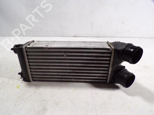 Used Intercooler Intercooler DS DS 4 / DS 4 CROSSBACK (NX_) 1.6 THP 165 (165 hp) 9096489 9096489