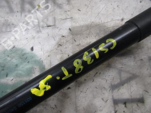 Tailgate lift support OPEL CORSA D (S07) 1.3 CDTI (L08, L68) | BP14274709C138 