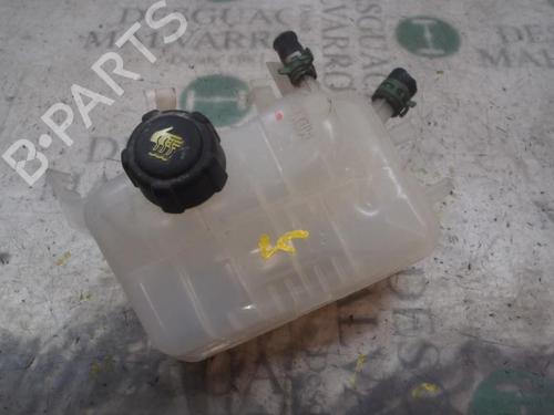 Used Expansion tank RENAULT SCÉNIC III (JZ0/1_) [2008-2016]  3823339