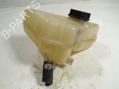 Expansion tank FORD FIESTA VI (CB1, CCN) 1.4 TDCi | BP7639917C120 