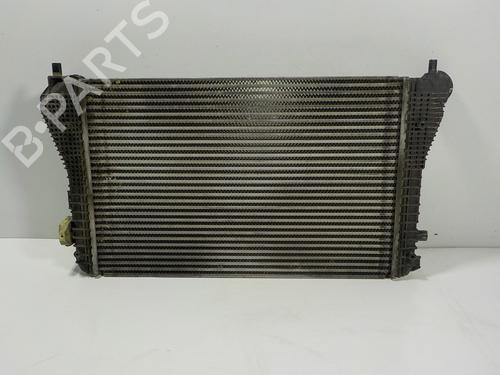 Intercooler SEAT ALHAMBRA (710, 711) 2.0 TDI | BP12110381M30