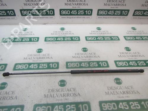 Used Hood lift support VW PASSAT B6 Variant (3C5) 2.0 TDI 16V (140 hp) 14282952