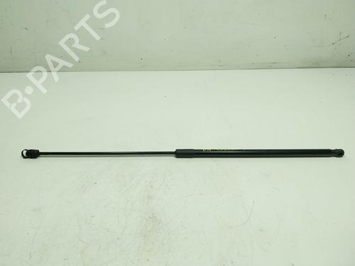 Hood lift support AUDI A4 B8 (8K2) 2.7 TDI | BP19437751C139 
