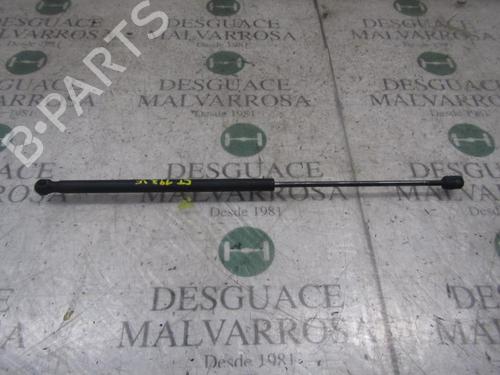 Used Tailgate lift support FORD FOCUS C-MAX (DM2) 2.0 TDCi (136 hp) 14275397