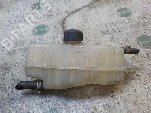 Used Expansion tank RENAULT CLIO III (BR0/1, CR0/1) [2005-2014]  3849657
