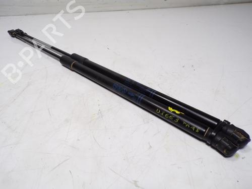 Tailgate lift support OPEL CORSA E (X15) 1.4 (08, 68) | BP17029179C138 