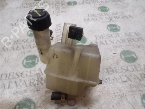 Used Expansion tank RENAULT LAGUNA II (BG0/1_) 2.2 dCi (BG0F) (150 hp) 3821022