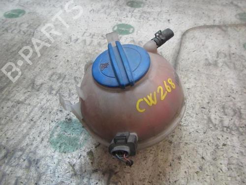Used Expansion tank VW PASSAT B6 (3C2) 2.0 TDI (170 hp) 4010363