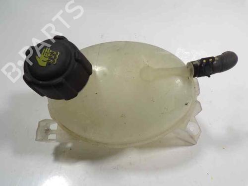 Expansion tank DACIA SANDERO II 1.5 dCi 75 / Blue dCi 75 (B8JW, B8M4, B8AH, B8M7, B8M6) (75 hp) 217104354R