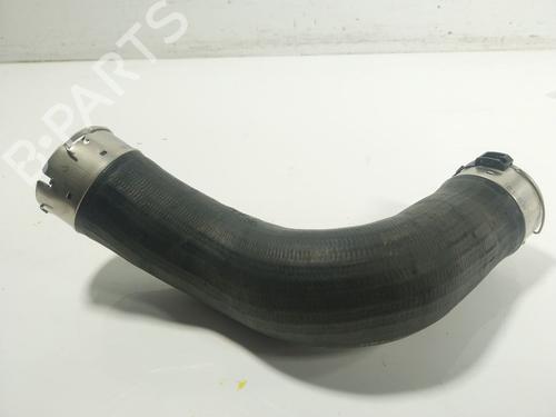 BP24574504O1 main image