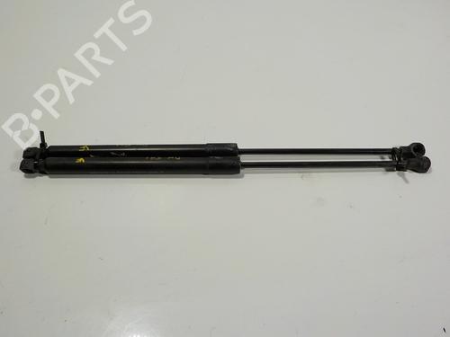 Used Tailgate lift support DACIA SANDERO II 1.5 dCi 75 / Blue dCi 75 (B8JW, B8M4, B8AH, B8M7, B8M6) (75 hp) 14288773
