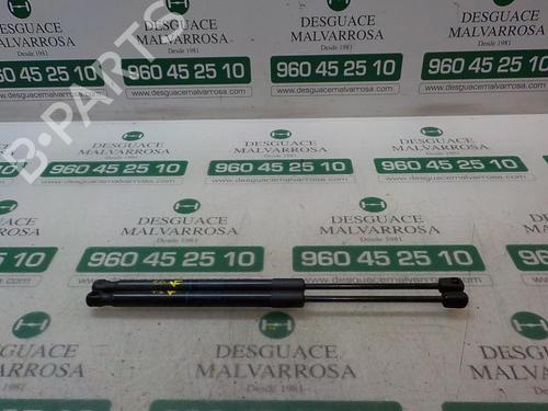 Used Tailgate lift support Tailgate lift support RENAULT MEGANE III Hatchback (BZ0/1_, B3_) 1.5 dCi (BZ1G, BZ1W, BZ0R) (95 hp) 14282004 14282004