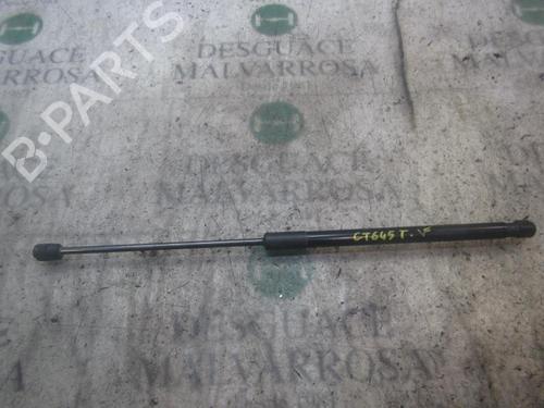 Gasdæmper bagklap Gasdæmper bagklap DACIA SANDERO [2008-2026] 14275552 14275552