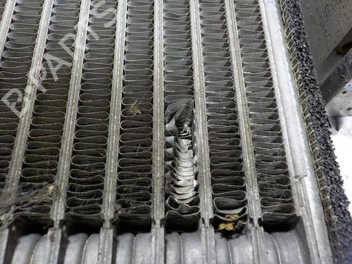 - Image 4