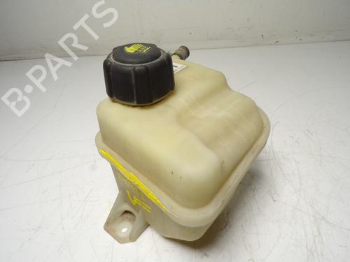 Used Expansion tank NISSAN QASHQAI I (J10, NJ10) [2006-2015]  13418779