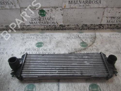 Intercooler NISSAN PRIMASTAR Van (X83) | BP3839225M30 - Image 2