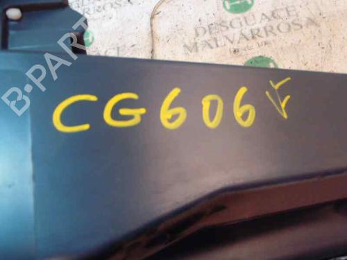 Glove box RENAULT CLIO III (BR0/1, CR0/1)  | BP3832415C95 