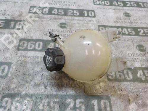 expansion-tank-citroen-c3-ii-sc_-16-bluehdi-100-9800777280-2009-3860420 main image